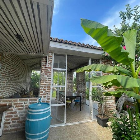 Casa Mediterana Două Mai Buitenkant foto