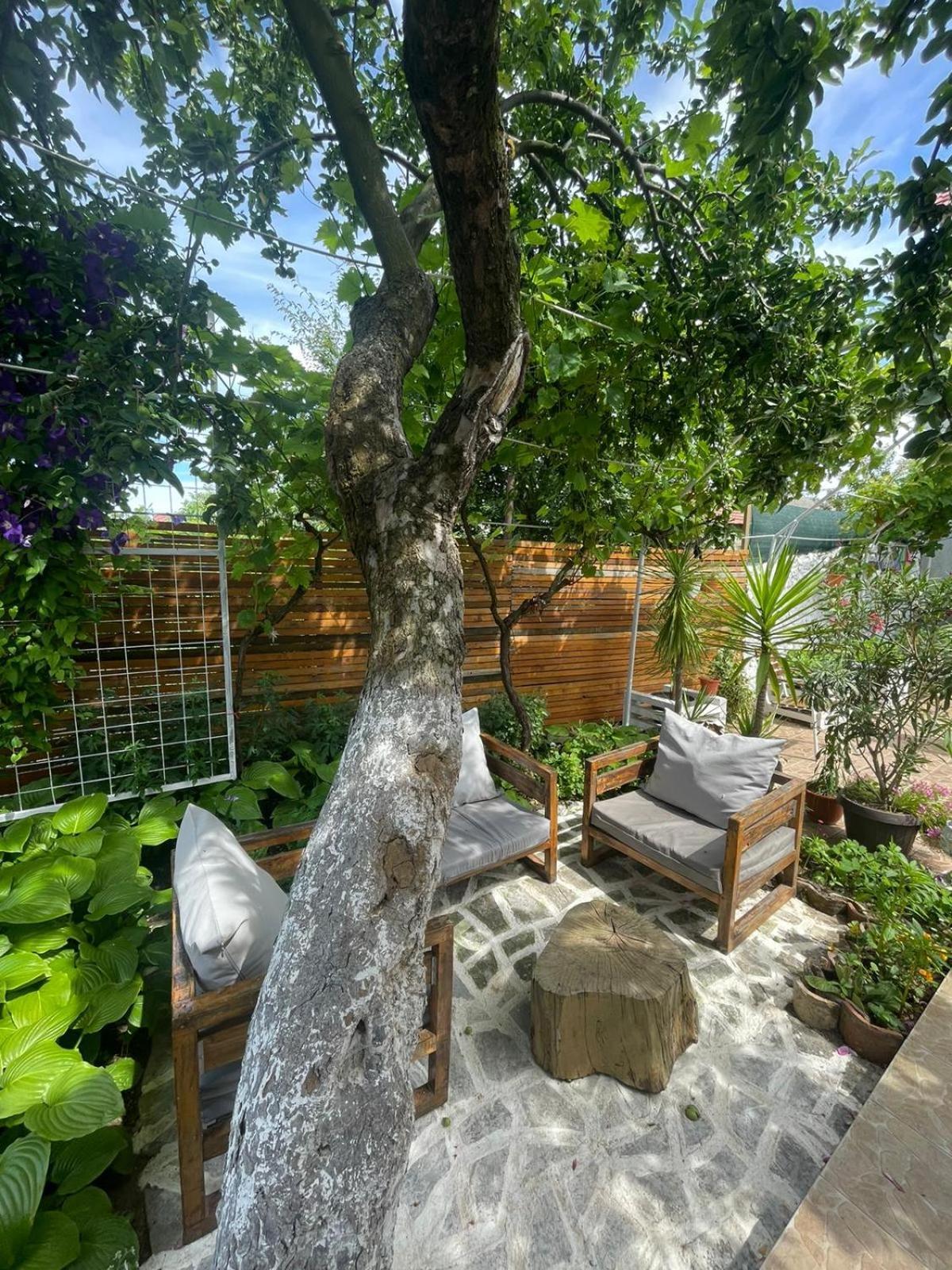 Casa Mediterana Două Mai Buitenkant foto