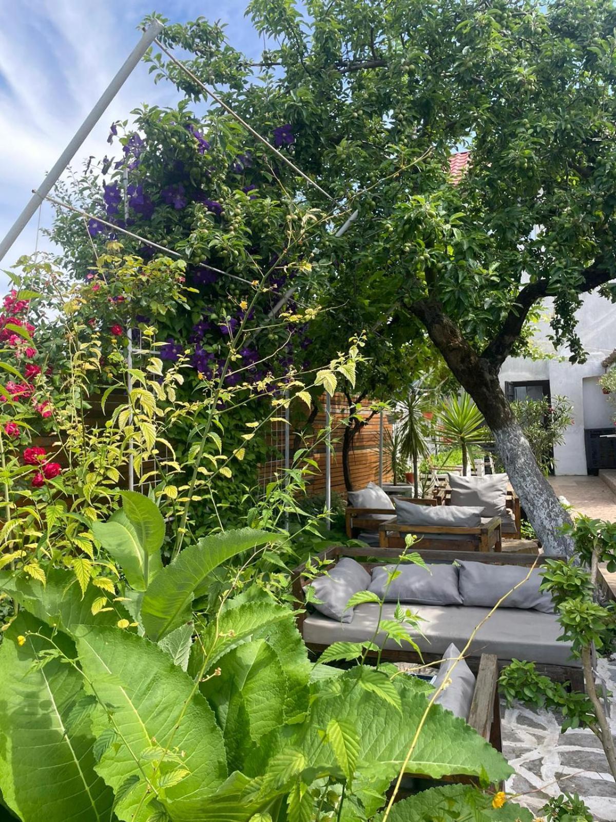 Casa Mediterana Două Mai Buitenkant foto
